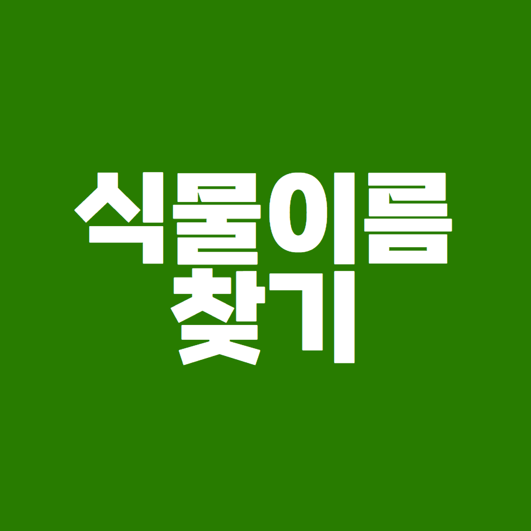 로고